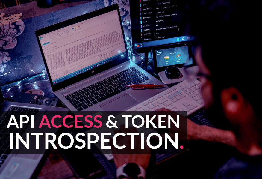 API Access and Token Introspection with OpenId Connect in ZITADEL preview image