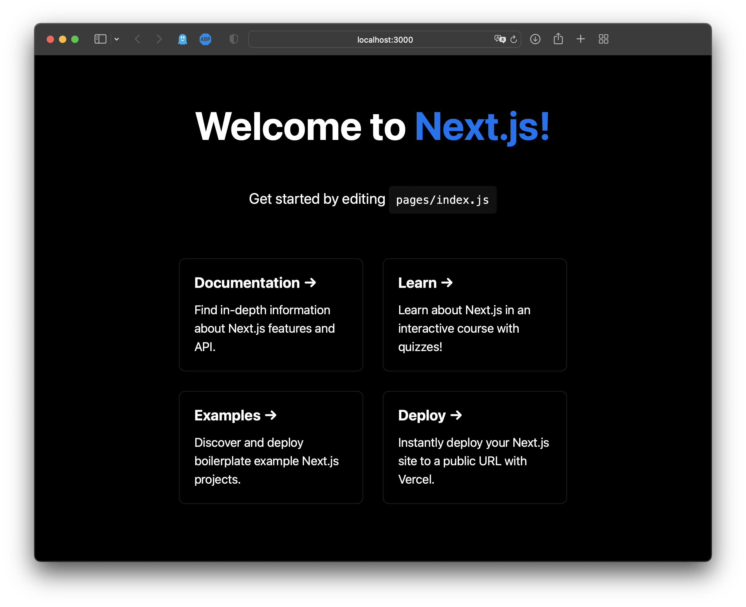 Next.js application running